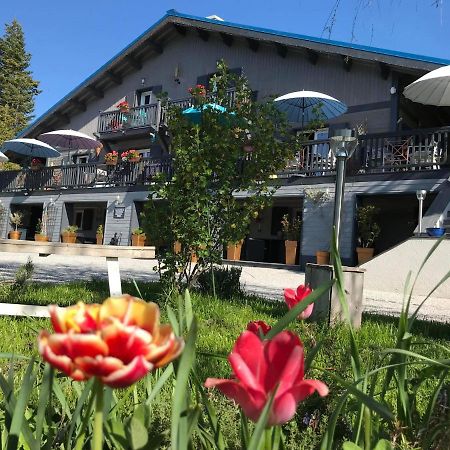 Bed and Breakfast L'Alpen Roc Caille Exterior foto